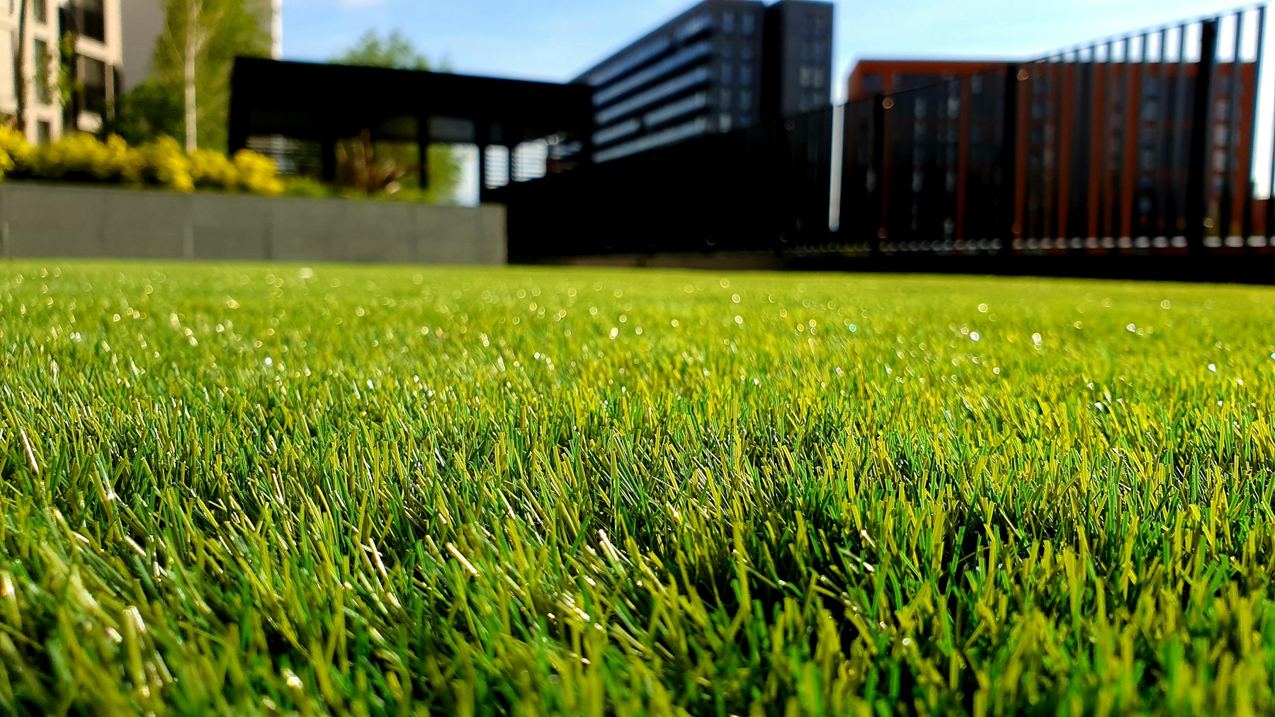 A fresh green lawn outside a modern building